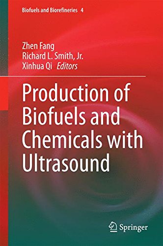 Production of Biofuels and Chemicals with Ultrasound [Hardcover]