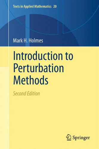 Introduction to Perturbation Methods [Hardcover]
