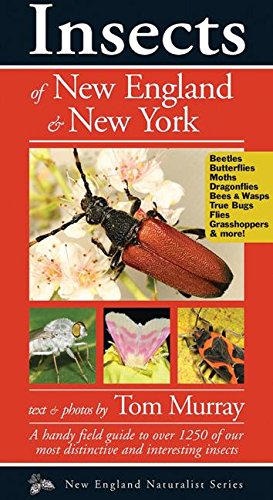 Insects of New England &amp New York [Paperback]