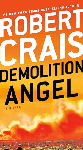 Demolition Angel A Novel [Paperback]