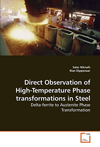 Direct Observation of High-Temperature Phase Transformations in Steel [Paperback]
