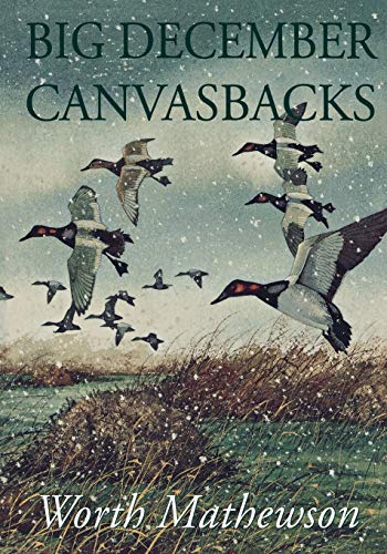 Big December Canvasbacks, Revised [Paperback]