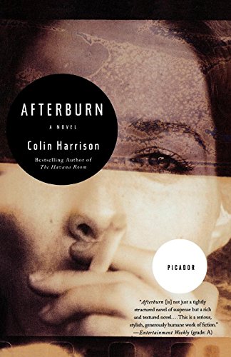 Afterburn A Novel [Paperback]