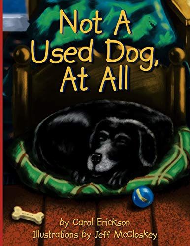 Not A Used Dog, At All [Paperback]