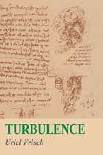 Turbulence The Legacy of A. N. Kolmogorov [Hardcover]
