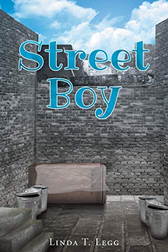 Street Boy [Paperback]