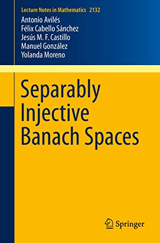 Separably Injective Banach Spaces [Paperback]