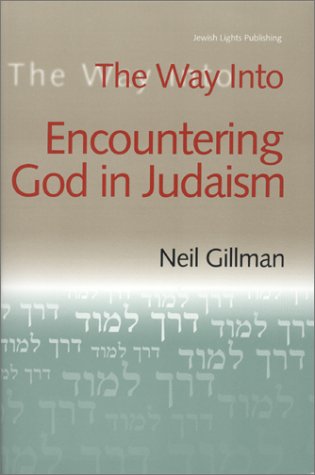 The Way Into Encountering God In Judaism [Hardcover]