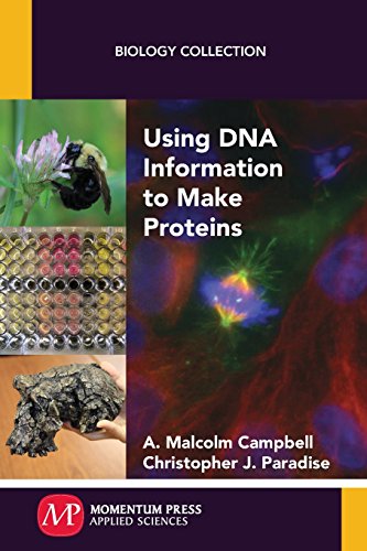Using Dna Information To Make Proteins [Paperback]