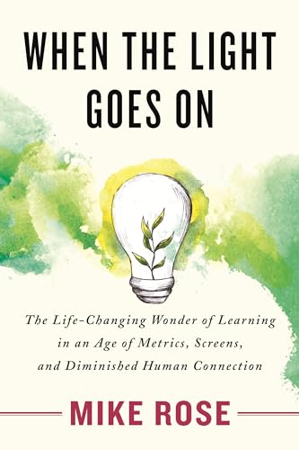 When the Light Goes On The Life-Changing Wonder of Learning in an Age of Metric [Paperback]