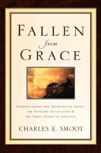 Fallen From Grace [Paperback]
