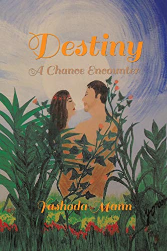 Destiny A Chance Encounter [Paperback]