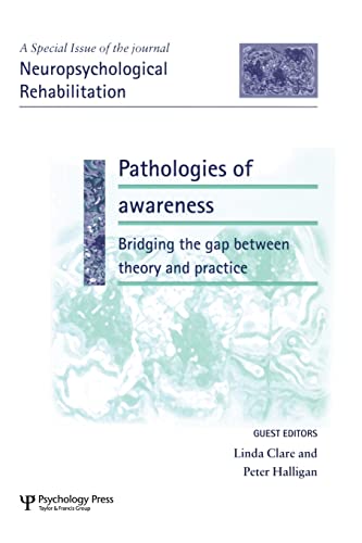 Pathologies of Awareness Bridging the Gap between Theory and Practice A Specia [Paperback]