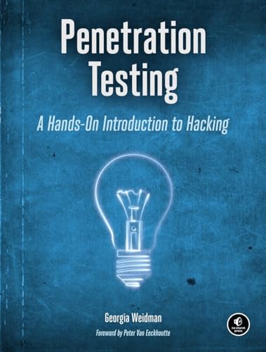 Penetration Testing A Hands-On Introduction to Hacking [Paperback]