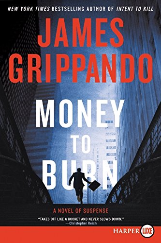 Money to Burn A Novel of Suspense [Paperback]