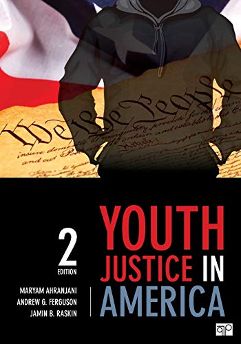 Youth Justice in America [Paperback]
