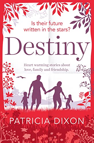 Destiny A Heartwarming Story about Family, Love and Friendship [Paperback]