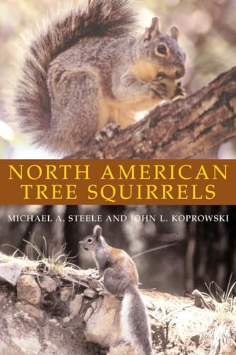 North American Tree Squirrels [Paperback]