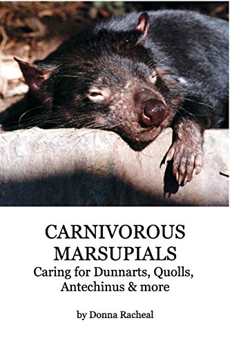 Carnivorous Marsupials - Caring For [Paperback]