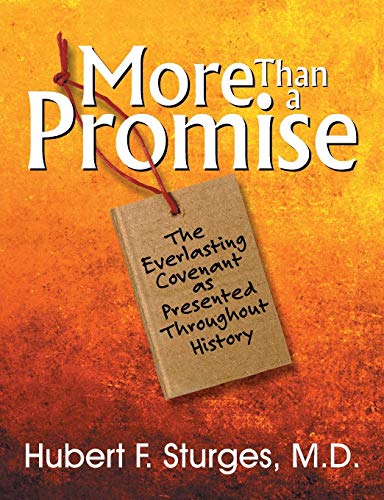 More Than A Promise [Paperback]