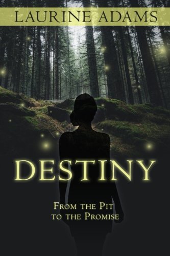 Destiny From The Pit To The Promise [Paperback]