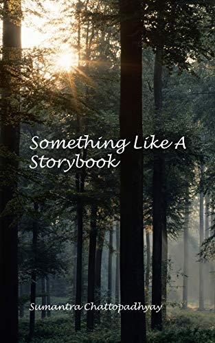 Something Like A Storybook [Paperback]