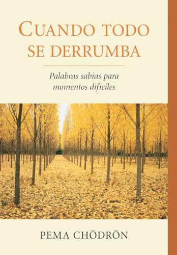 Cuando todo se derrumba (When Things Fall Apart) Palabras sabias para momentos  [Paperback]