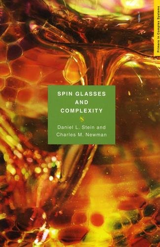 Spin Glasses and Complexity [Paperback]
