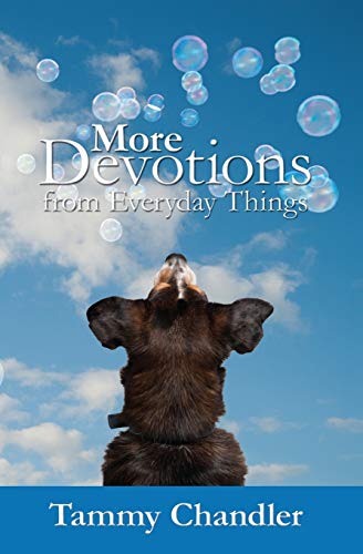 More Devotions From Everyday Things [Paperback]