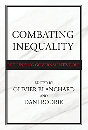 Combating Inequality Rethinking Government's Role [Hardcover]