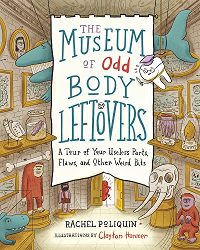 The Museum of Odd Body Leftovers A Tour of Your Useless Parts, Flaws, and Other [Hardcover]