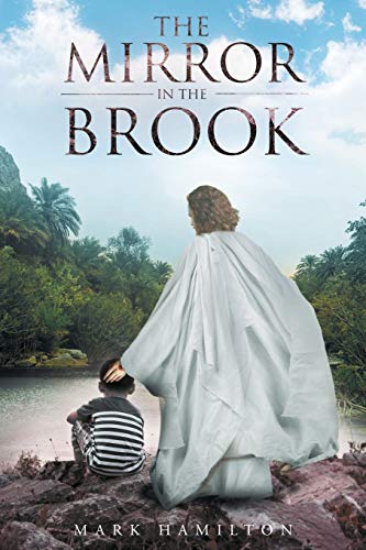 The Mirror In The Brook [Paperback]