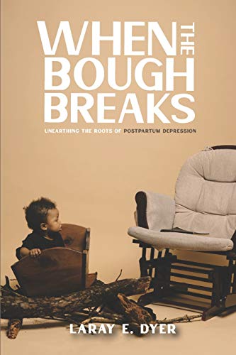 When the Bough Breaks  Unearthing the Roots of Post Partum Depression [Paperback]