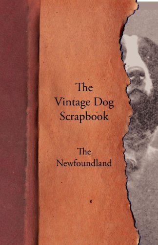 The Vintage Dog Scrapbook - The Newfoundland [Paperback]