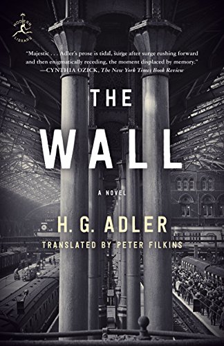 The Wall A Novel [Paperback]