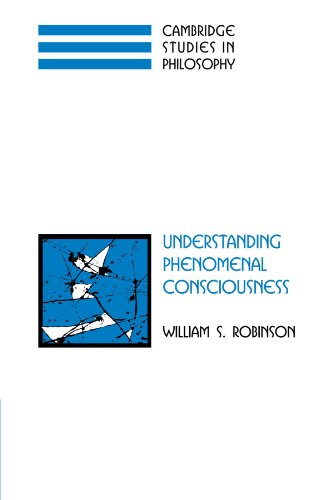 Understanding Phenomenal Consciousness [Paperback]