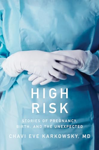 High Risk Stories of Pregnancy, Birth, and the Unexpected [Hardcover]