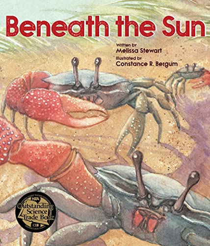 Beneath the Sun [Paperback]