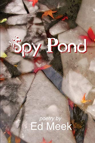 Spy Pond [Paperback]