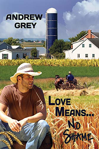 Love Means... No Shame [Paperback]