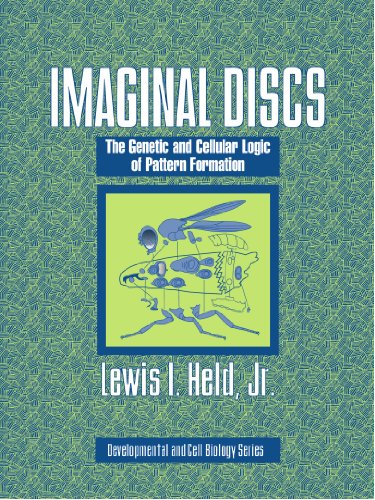 Imaginal Discs The Genetic and Cellular Logic of Pattern Formation [Paperback]