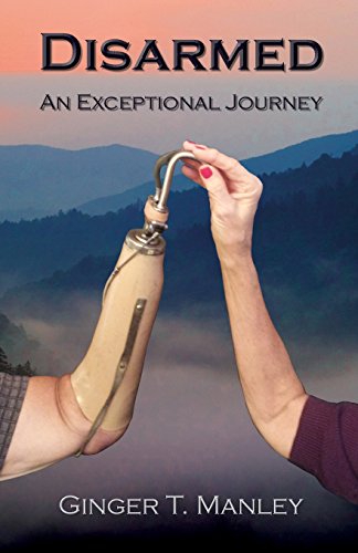Disarmed An Exceptional Journey [Paperback]