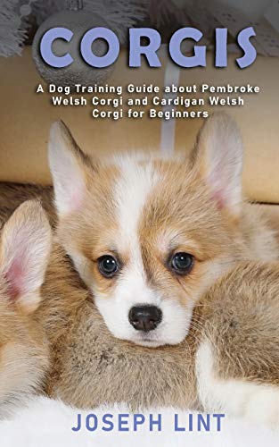 Corgis  A Dog Training Guide about Pembroke Welsh Corgi and Cardigan Welsh Corg [Paperback]
