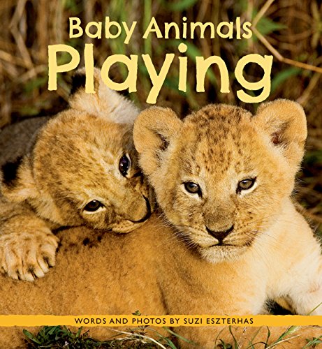Baby Animals Playing [Paperback]