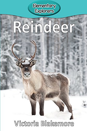 Reindeer (elementary Explorers) [Paperback]