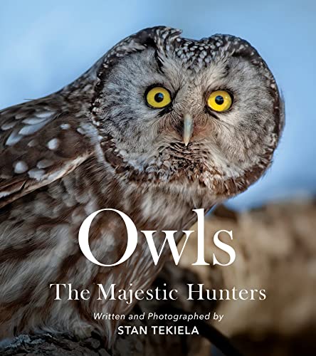 Owls The Majestic Hunters [Paperback]