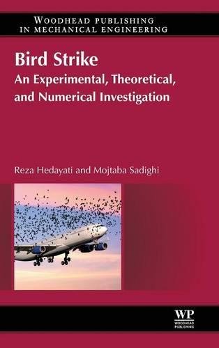 Bird Strike An Experimental, Theoretical and Numerical Investigation [Hardcover]