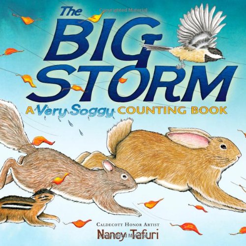 The Big Storm A Very Soggy Counting Book [Hardcover]