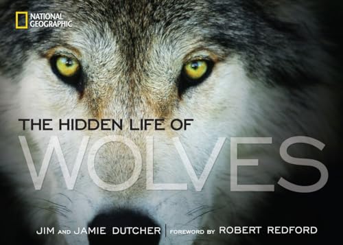 Hidden Life of Wolves, The [Hardcover]