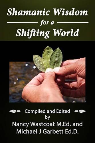 Shamanic Wisdom For A Shifting World [Paperback]